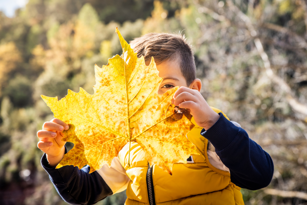 student with leaf