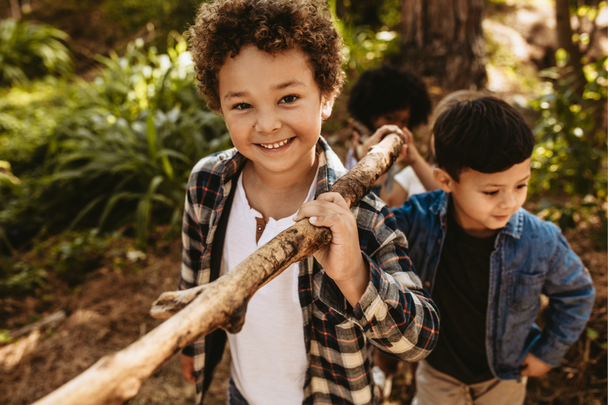 Children carrying wood in the forest